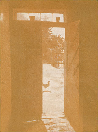Introimage