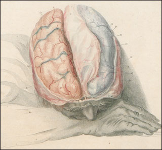 Introimage