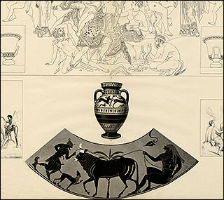 Introimage