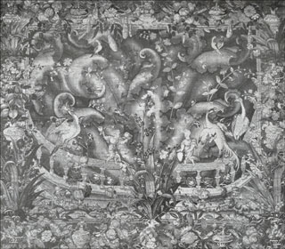 Introimage