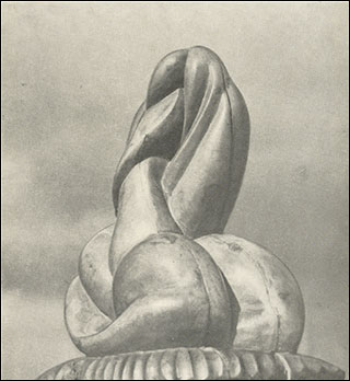 Introimage