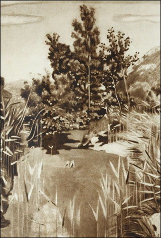 Introimage
