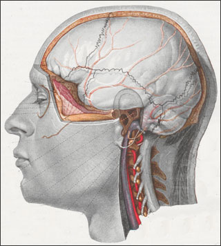 Introimage
