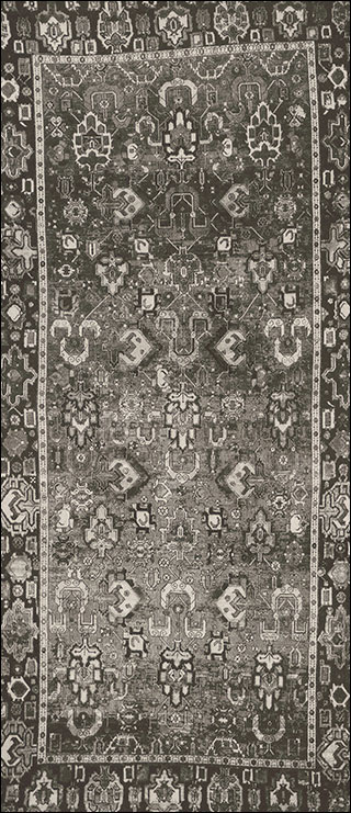 Introimage