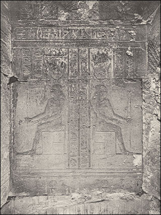 Introimage