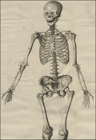Introimage