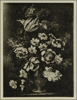 Introimage