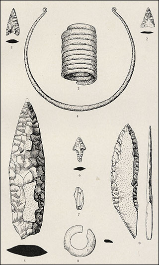 Introimage
