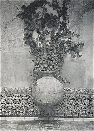 Introimage