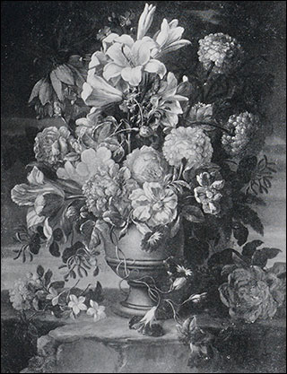 Introimage