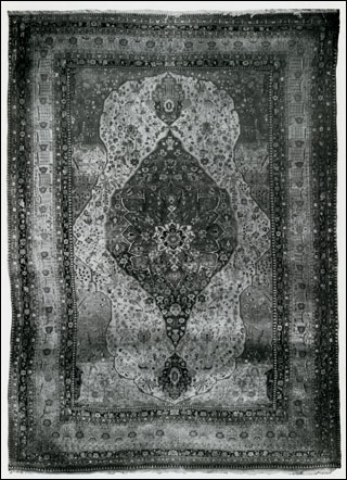 Introimage