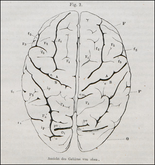 Introimage
