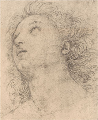 Introimage