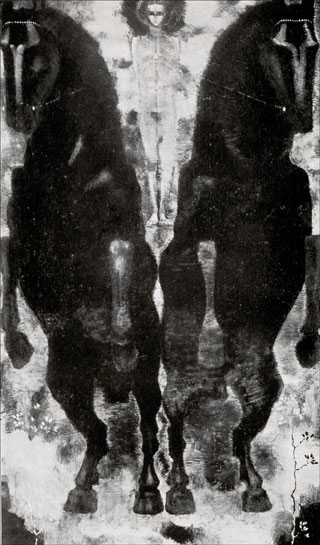 Introimage