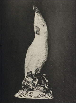 Introimage