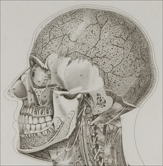 Introimage