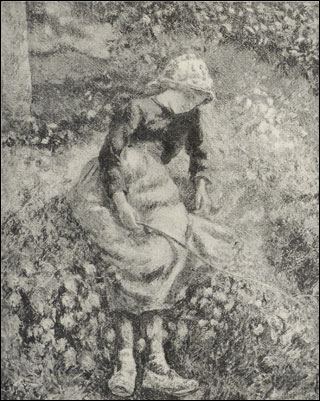 Introimage