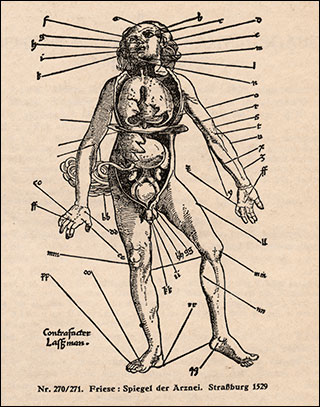 Introimage