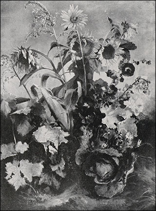 Introimage