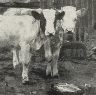 Introimage
