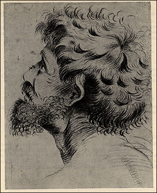Introimage