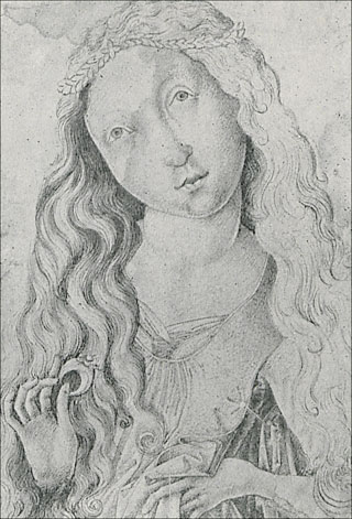 Introimage