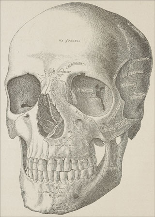Introimage