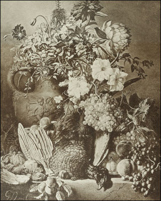 Introimage