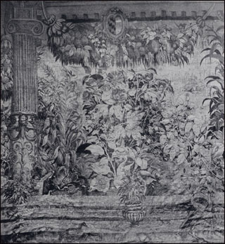 Introimage