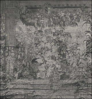 Introimage