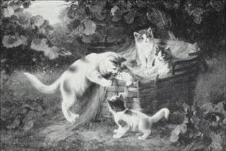 Introimage