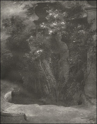 Introimage