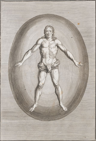Introimage