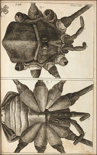 Introimage