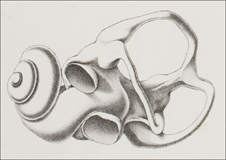 Introimage