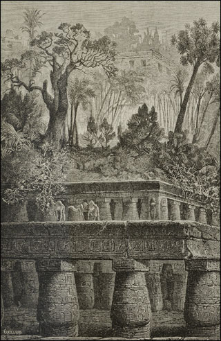 Introimage