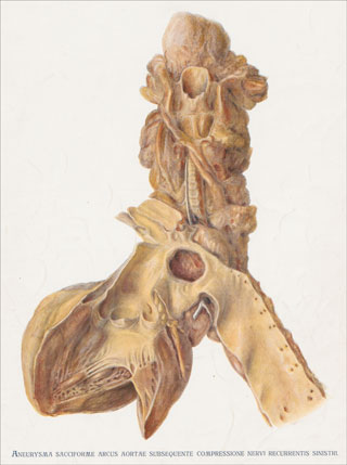 Introimage
