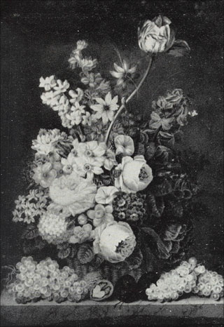 Introimage