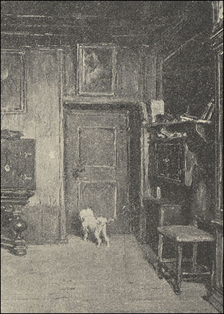 Introimage