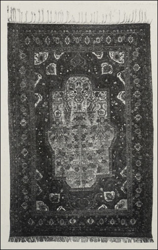 Introimage