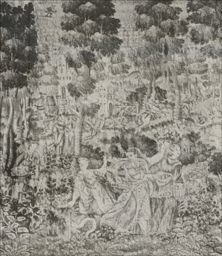 Introimage