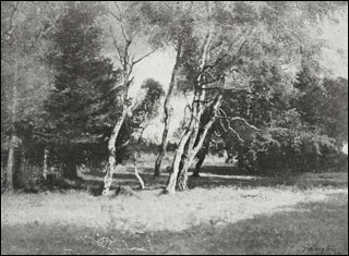 Introimage