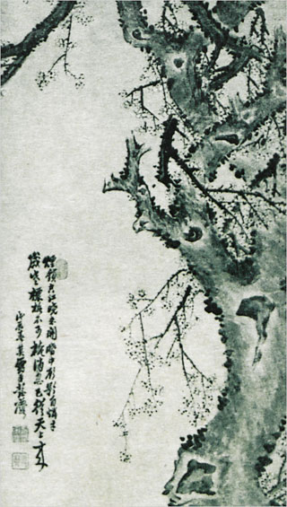 Introimage
