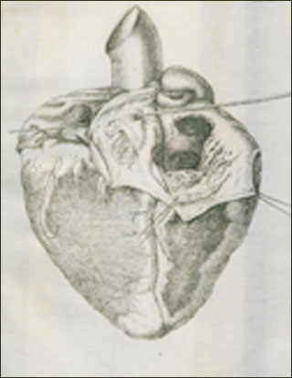 Introimage