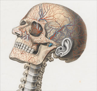 Introimage