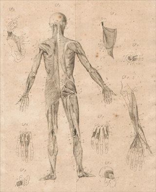 Introimage