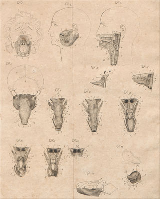 Introimage