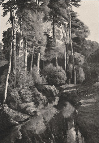 Introimage