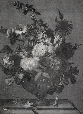 Introimage