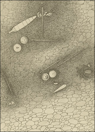 Introimage